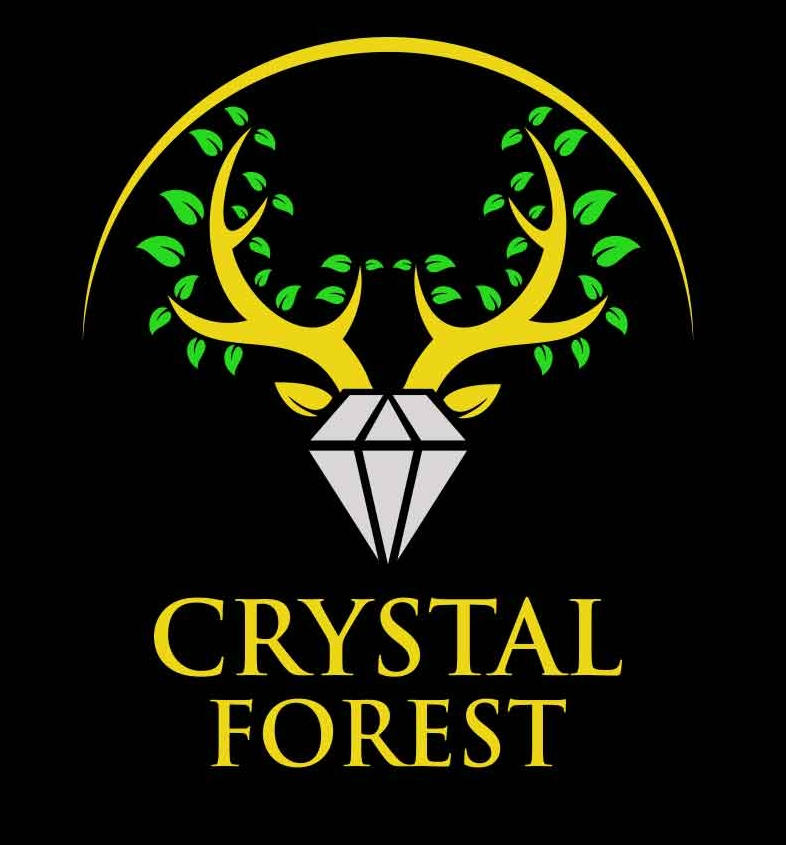 Things To Do Crystal Forest 